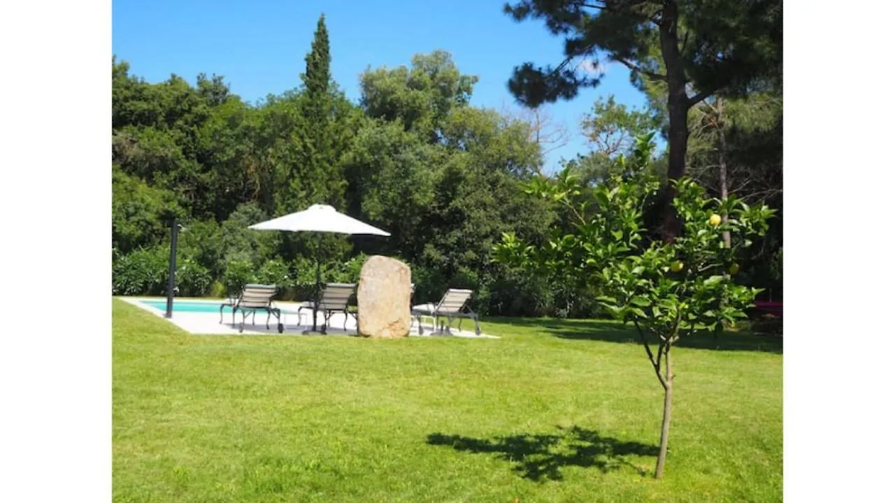 Masia Can Pitu, Piscina Privada Ideal Para Familias, Retiros , Grupos Villa Santa Cristina d'Aro